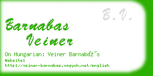 barnabas veiner business card